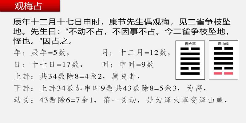 梅花易数六亲占法_养多数公母仓鼠在一起是公占数多好还是母的占数都好点_梅花易占