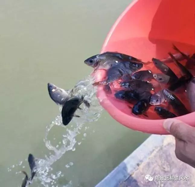 风水解灾改运_卫生间装修风水解禁忌_雷风恒之雷水解