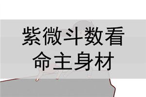 紫微斗数排盘分析知识_紫微白娘子斗数专版_紫薇斗数 流年排盘