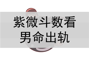 紫薇斗数 流年排盘_紫微斗数排盘分析知识_紫微白娘子斗数专版