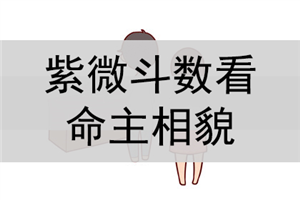 紫微斗数排盘分析知识_紫薇斗数 流年排盘_紫微白娘子斗数专版