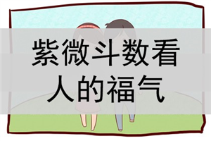 紫微斗数排盘分析知识_紫薇斗数 流年排盘_紫微白娘子斗数专版