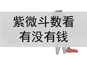 紫微斗数排盘分析知识_紫微白娘子斗数专版_紫薇斗数 流年排盘