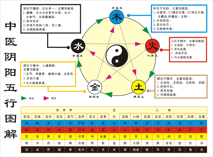 阴阳五行学与周易的关系_阴阳五行起名字_名字的五行阴阳怎么配