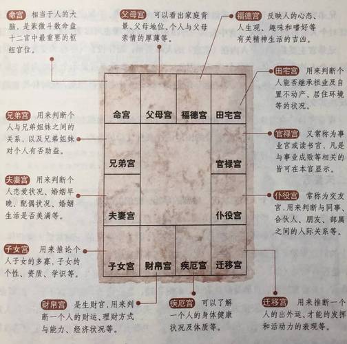 新手入门看林庚入门应看哪本书