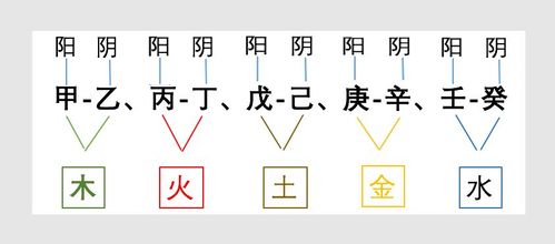 从阴阳,五行解读八字十大天干