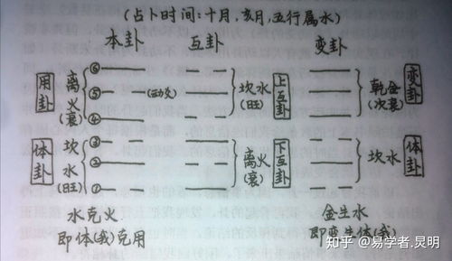 零基础学梅花易数_快速学梅花易数_自学梅花易数入门视频