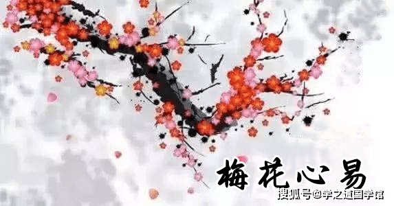 梅花心易预测术：集象数一体，彰显易理