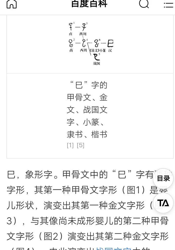 天干地支手指法_手指上的天干地支图_天干地支手指图记忆法