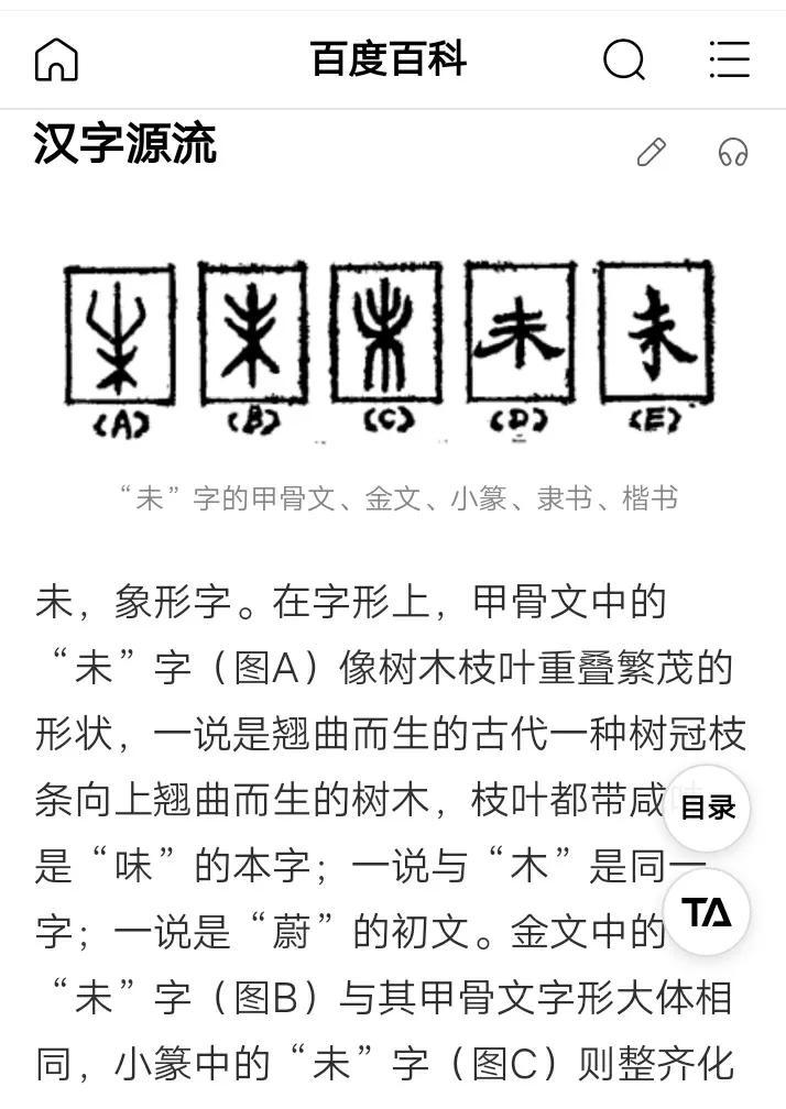 天干地支手指法_天干地支手指图记忆法_手指上的天干地支图