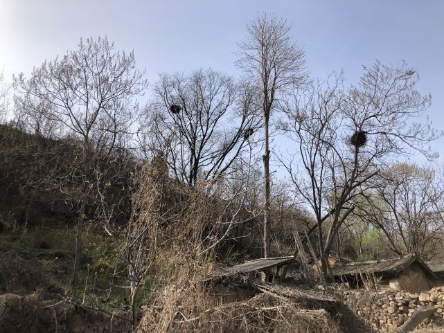 风水堂:三丑四夫妻，三未守空房