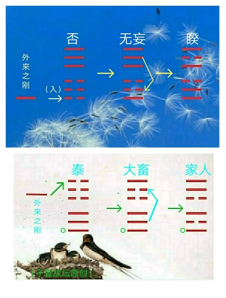 序卦传五十五卦解卦图_易经十五卦卦的意思_易经十五卦