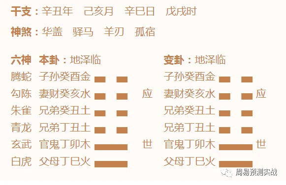 六爻实战卦例精解_六爻卦占运气_六爻运势卦入门