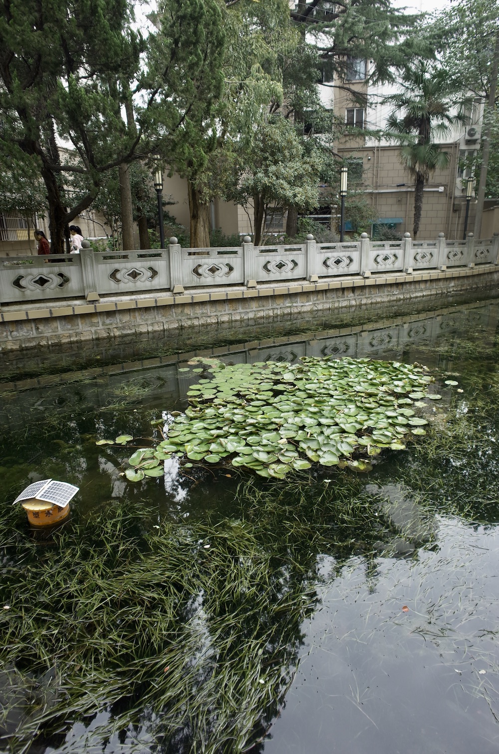 风水商城_社区商业风水_风水街道