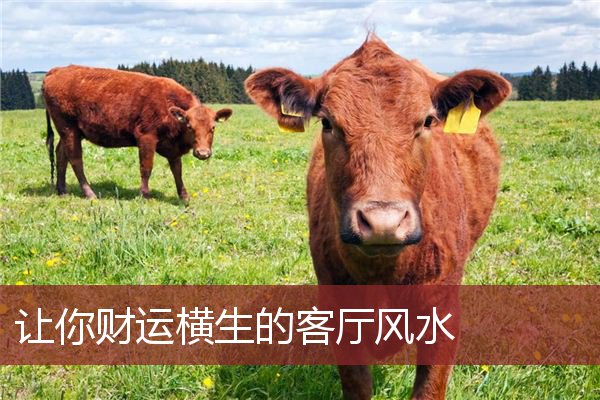 慈世堂：与财运有关的客厅风水注意摆放禁忌