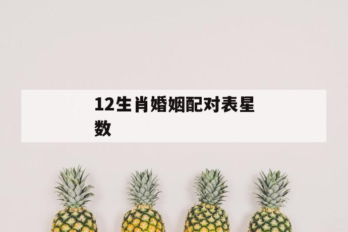 12生肖婚姻配对表星数