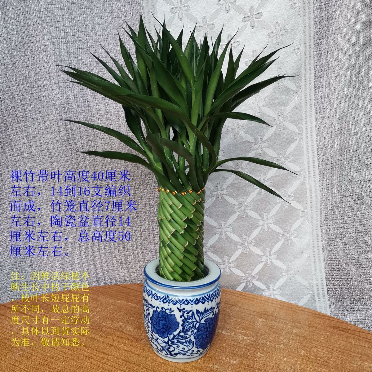 华易算命：盆栽种植富贵竹，多少根最好？