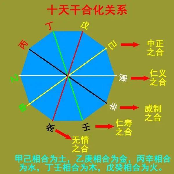 天干化合后怎么看五行_天干五行合化条件_天干五行合化