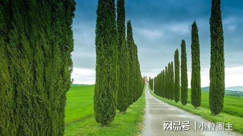 阳宅风水桃树_阳宅风水桃树_阳宅风水桃树