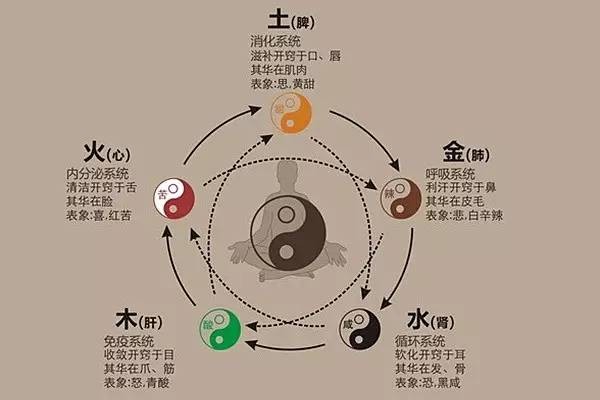 合一哲学易经思维中的思维_易经中合一的哲学思维_易经和合思想