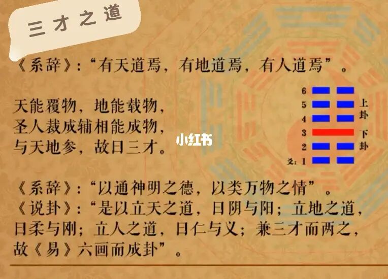 （国学文化）三才：指天才、地才、人才