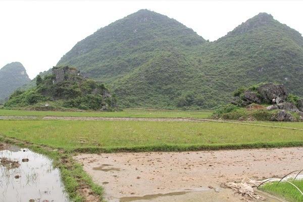 阳宅东四宅和西四宅的详解_阳宅风水东四宅_住宅风水东四宅