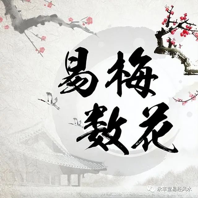 梅花易数断卦视频_梅花易数断卦解卦_梅花易数断卦案例 地水师