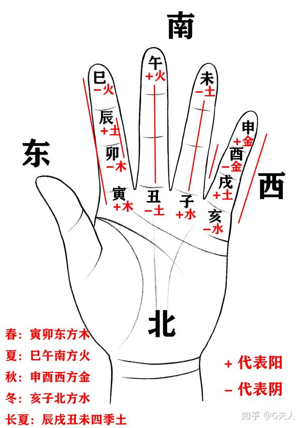 十天干在地支的状态_十天干十二地支的用法_二十天干地支