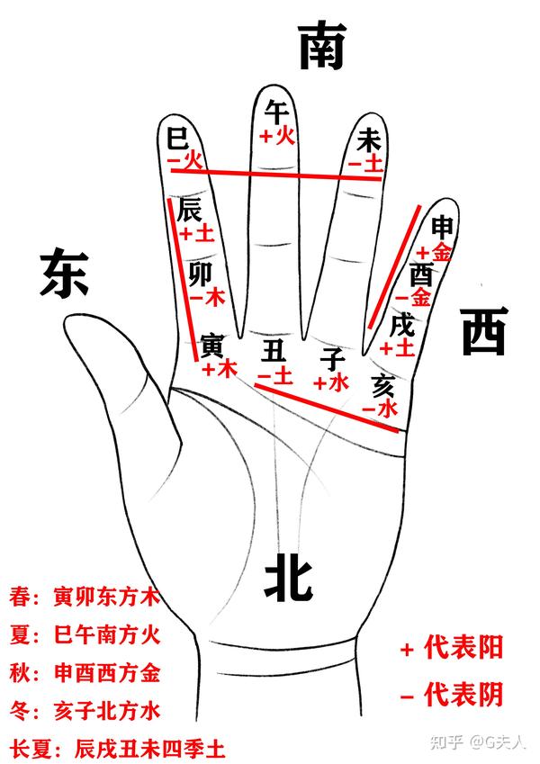 二十天干地支_十天干在地支的状态_十天干十二地支的用法