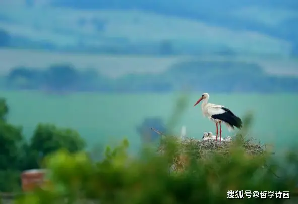 易经太极讲解视频_易经太极_无极太极易经道文案