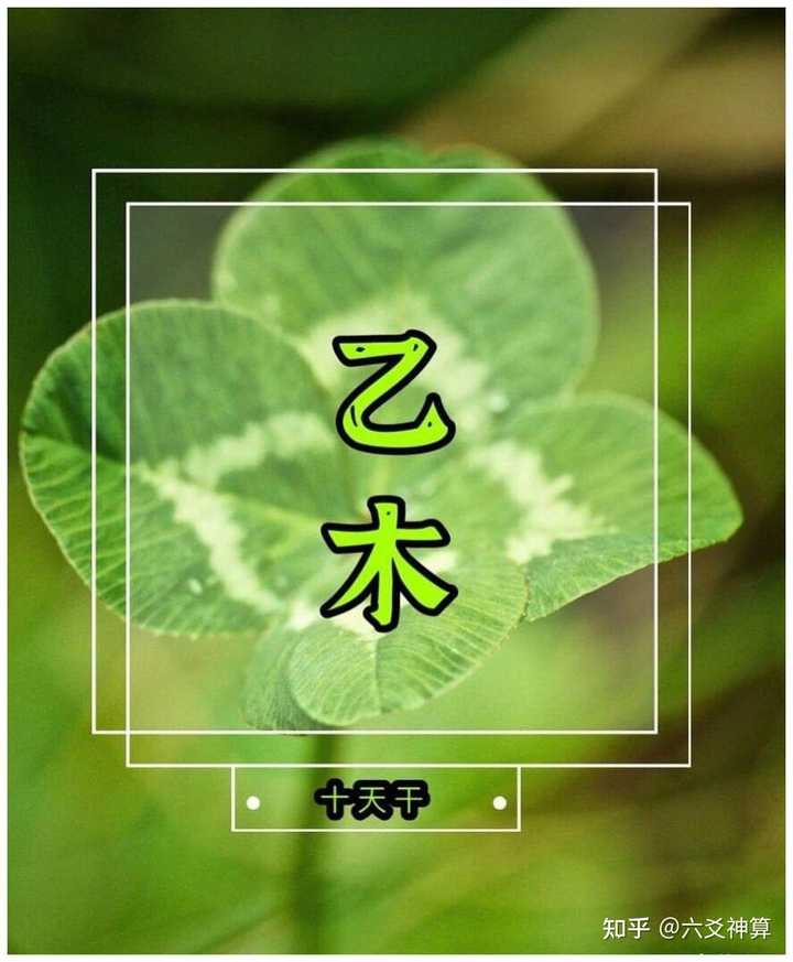 十天干是什么意思_十天干分别是_十天干是干嘛的