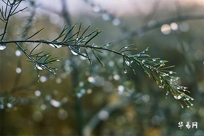 风水堂：生年四化是什么意思