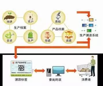 农村电商的机遇_农村电商发展机遇_农村电商财富机遇问题分析